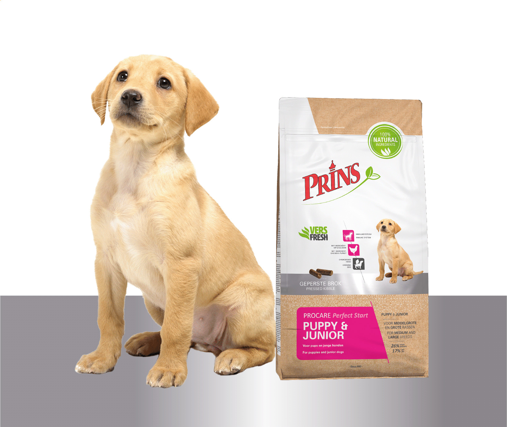 Prins ProCare Perfect Start Puppy & Junior per cane