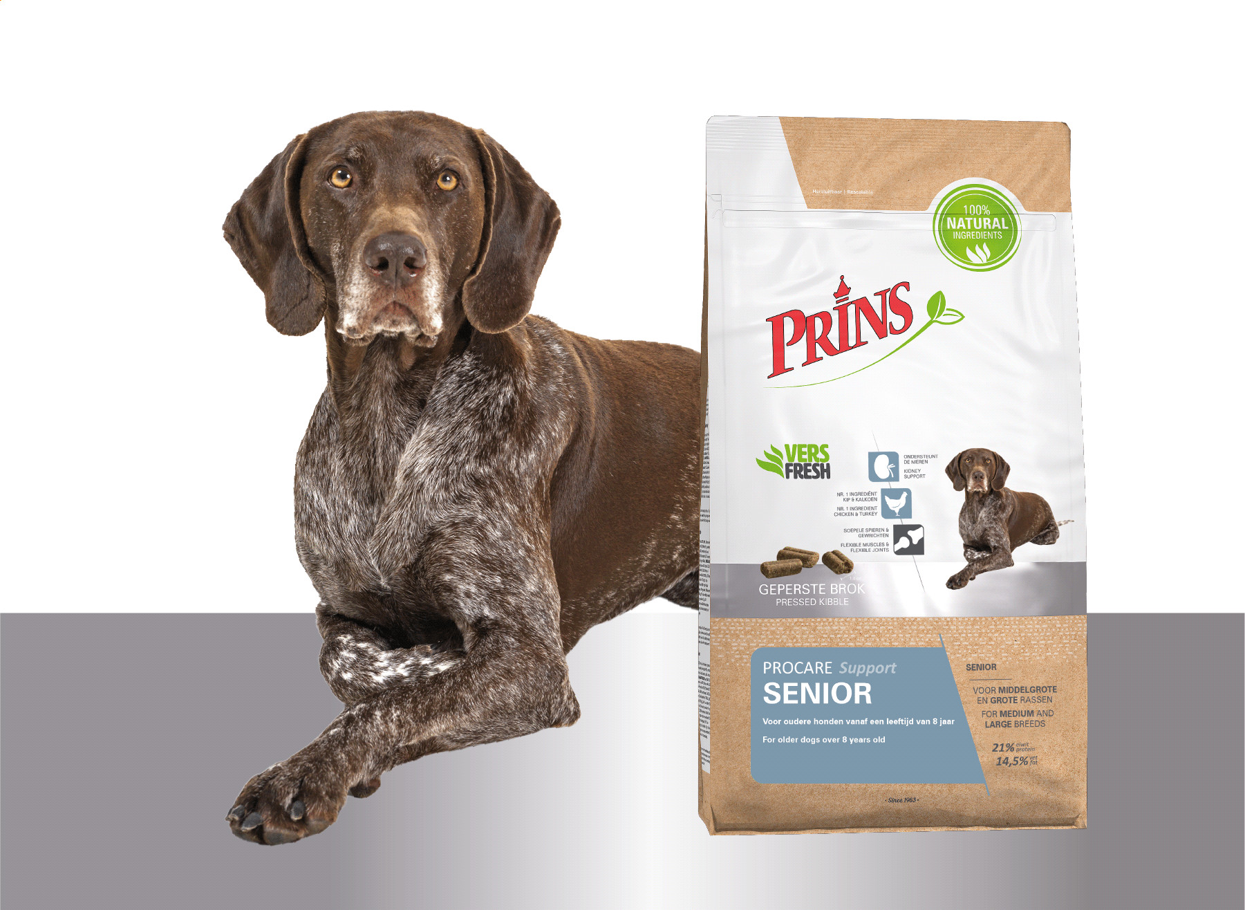Prins ProCare Senior Support per cane