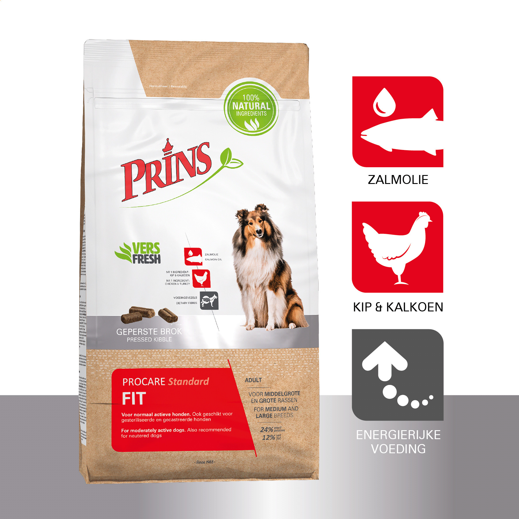 Prins ProCare Standard Fit per cane