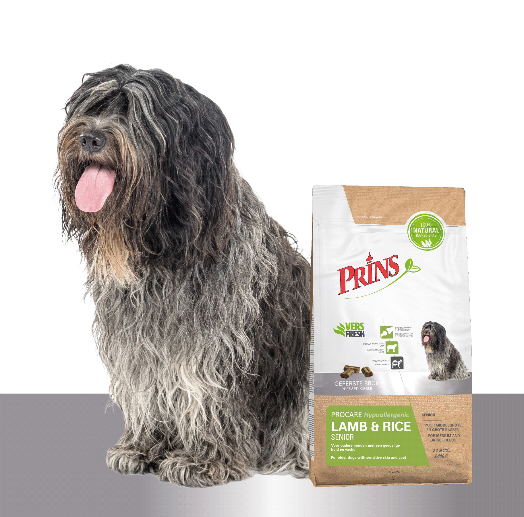 Prins ProCare Senior Hypoallergenic con agnello e riso per cane