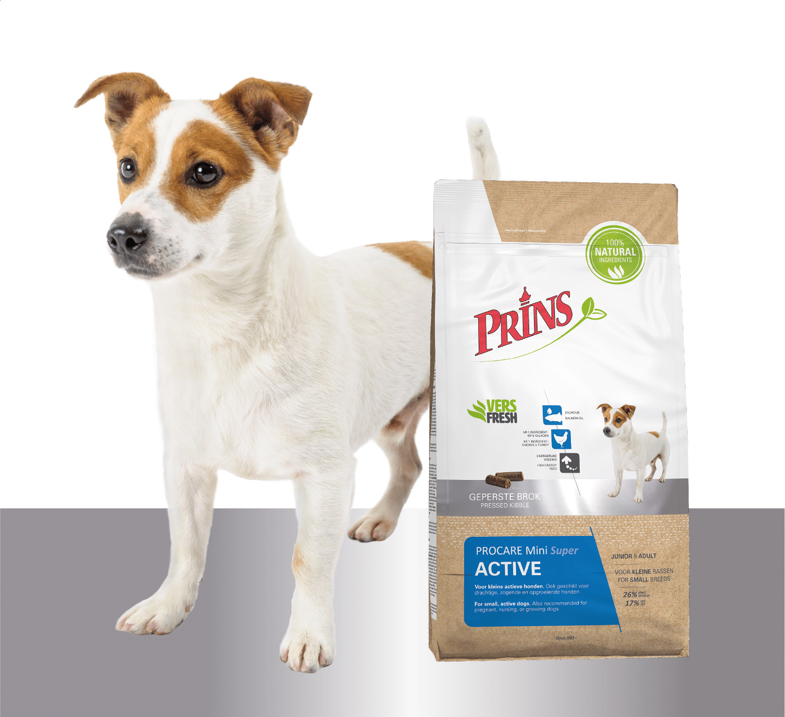 Prins ProCare Mini Super Active per cane