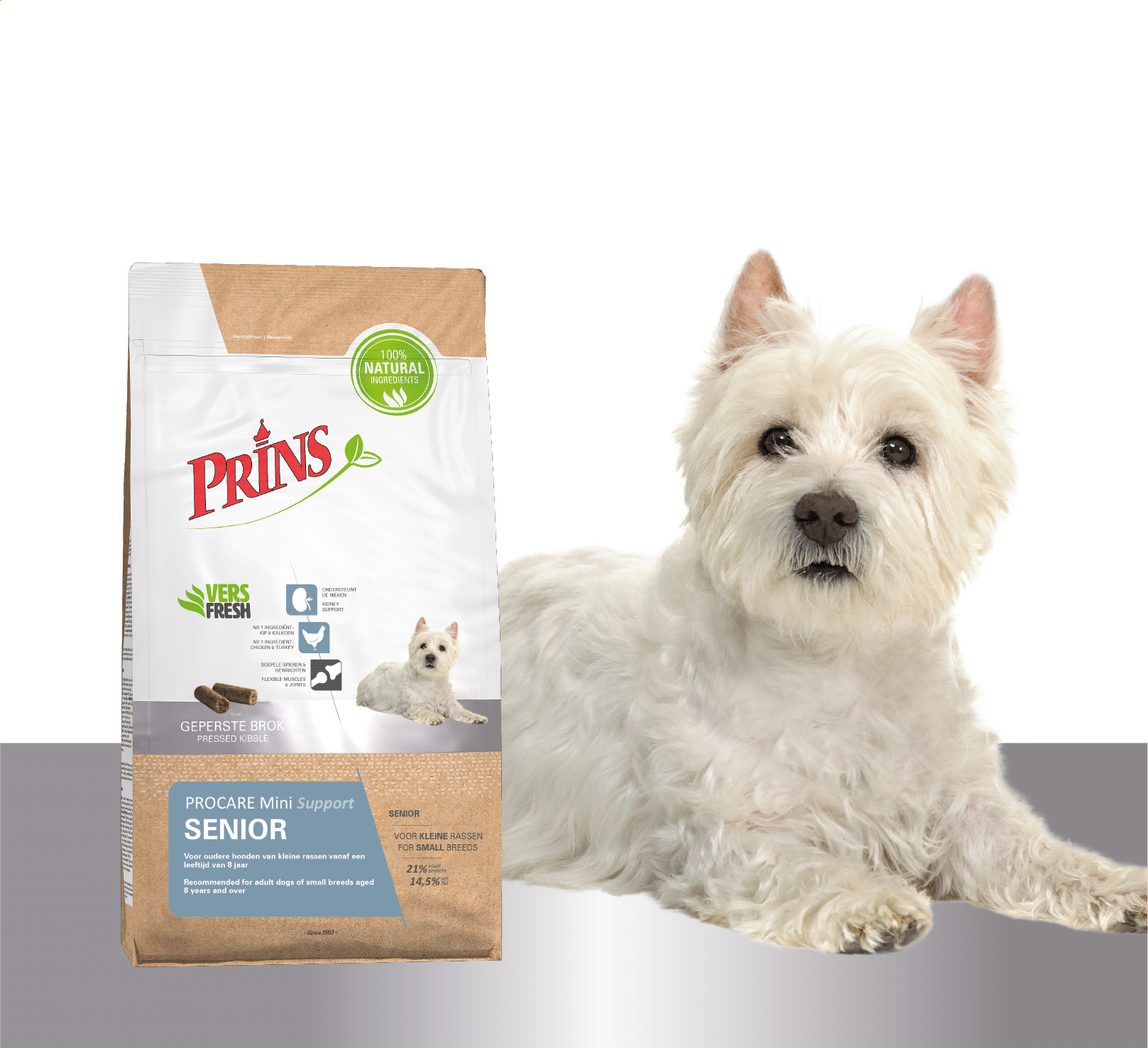 Prins ProCare Mini Senior per cane