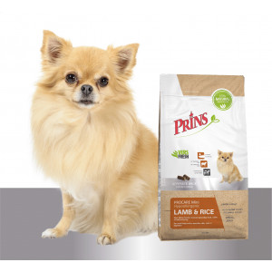 Prins ProCare Mini con agnello e riso per cane