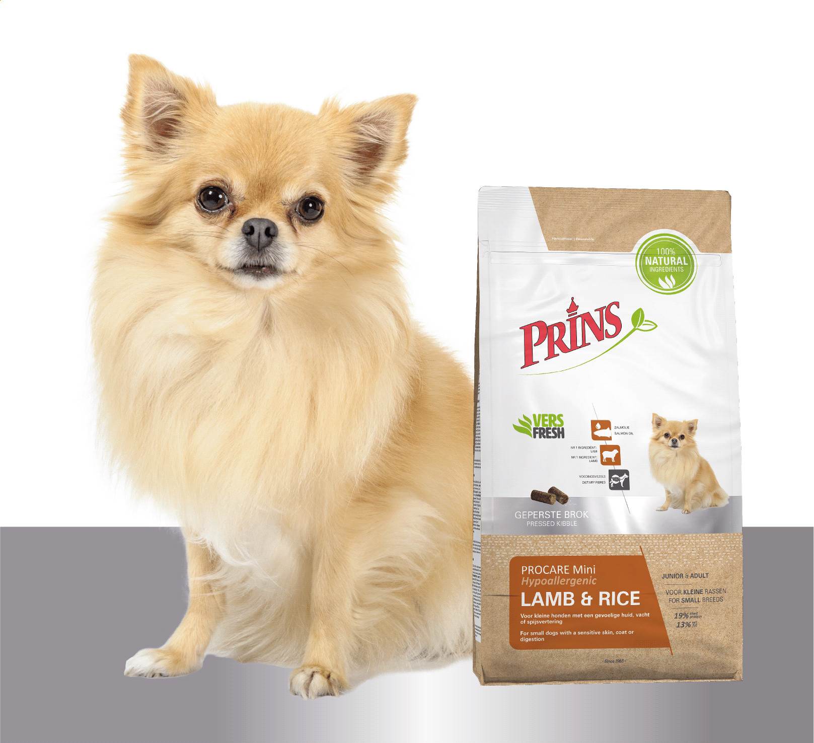 Prins ProCare Mini con agnello e riso per cane