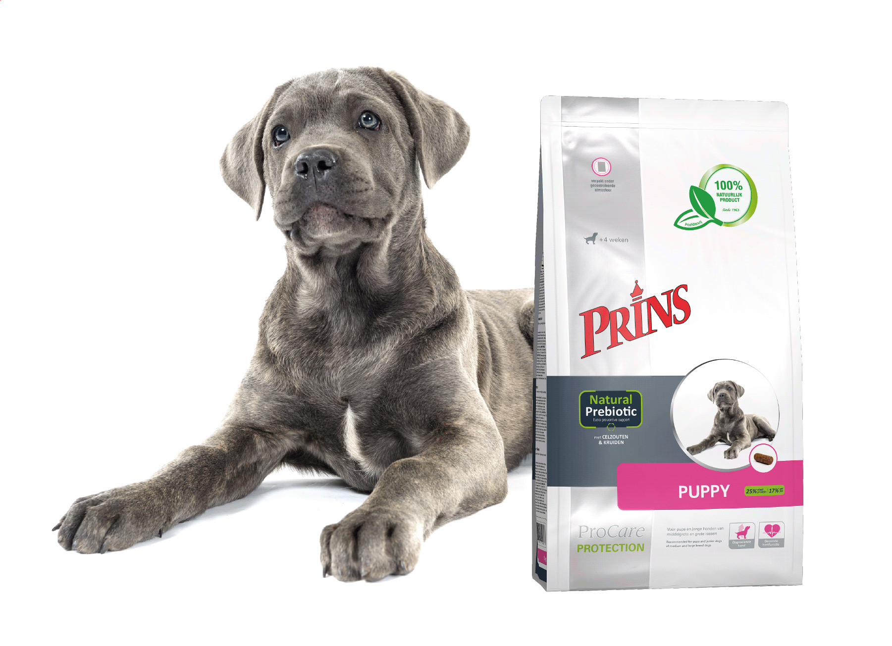 Prins ProCare Protection Puppy per cane