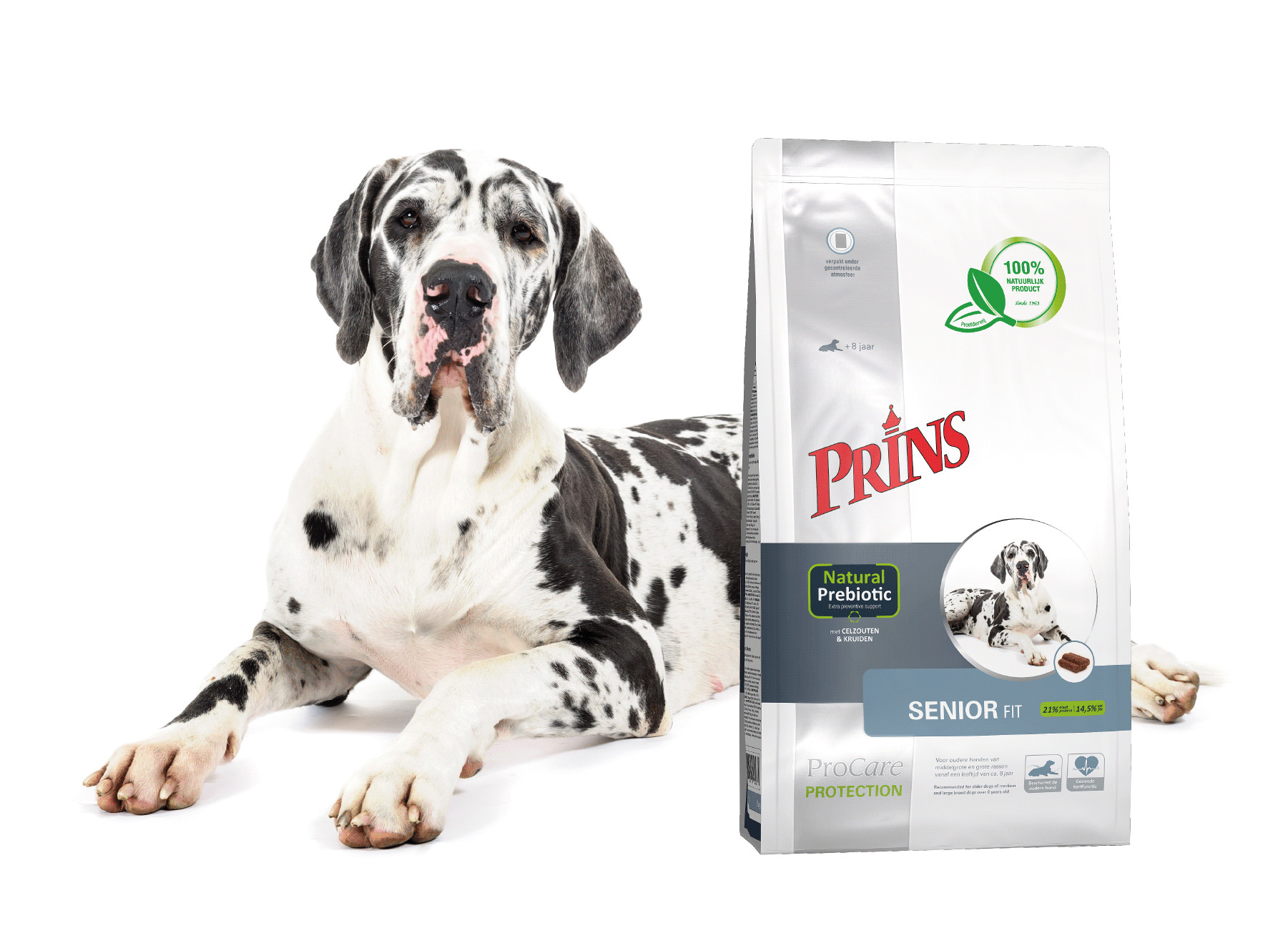Prins ProCare Protection Senior Fit per cane