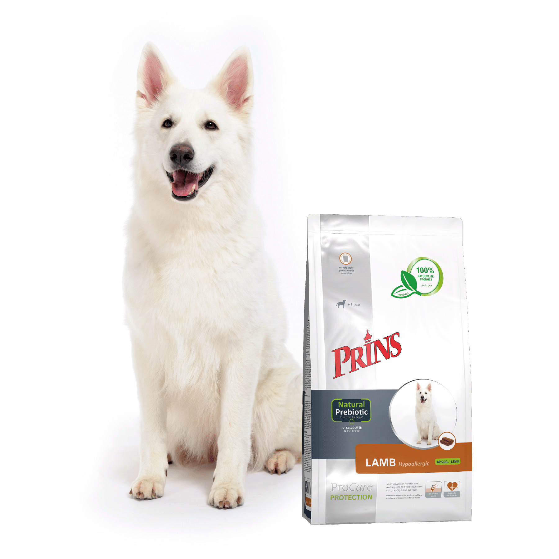 Prins ProCare Protection Hypoallergenic con agnello per cane