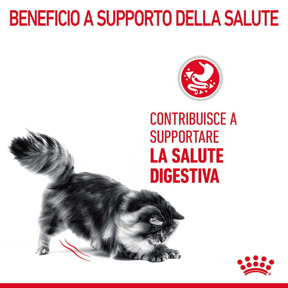 Royal Canin Digestive Care per gatto