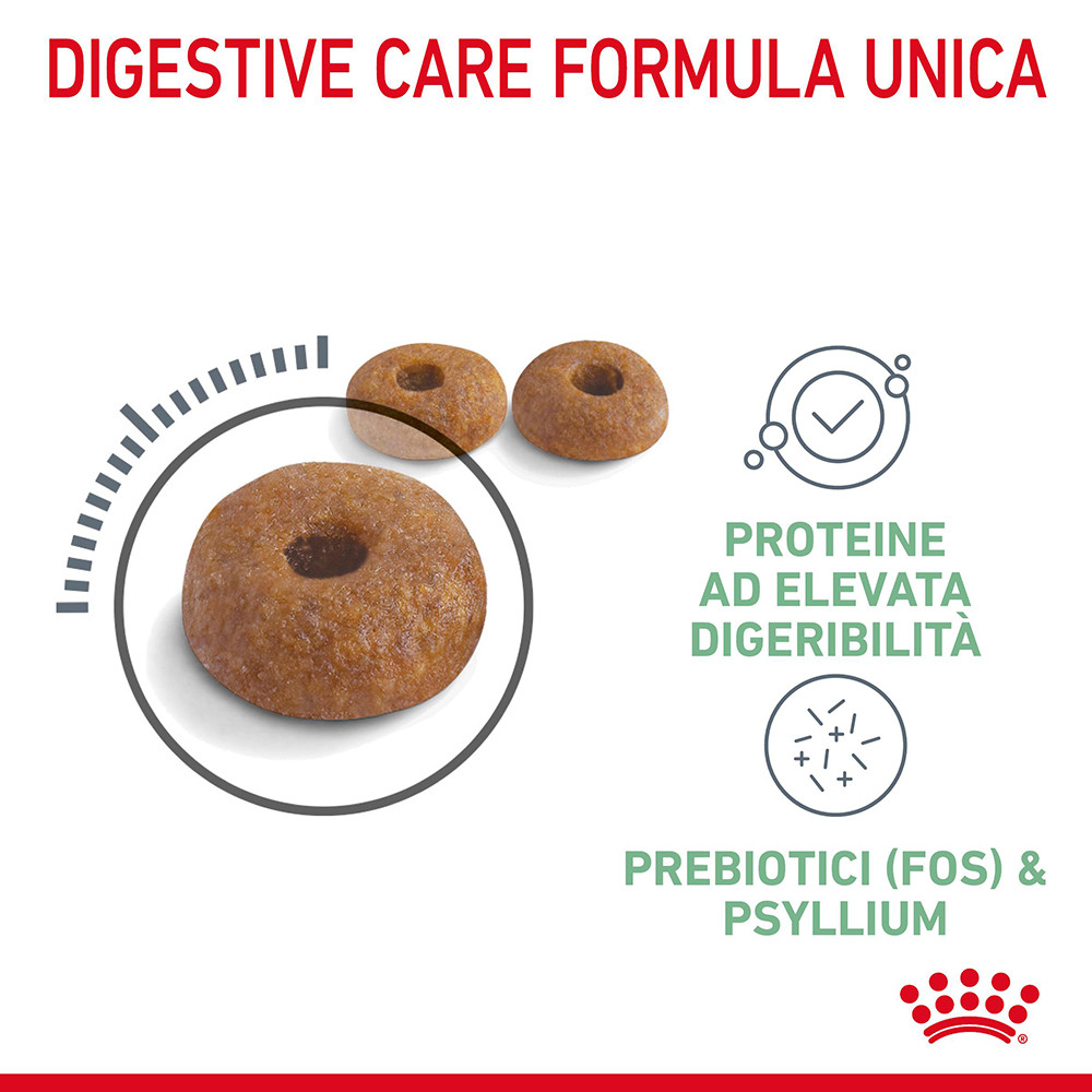 Royal Canin Digestive Care per gatto