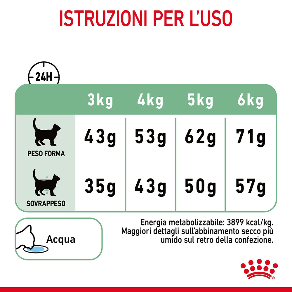 Royal Canin Digestive Care per gatto