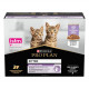 Pro Plan Gattino Tacchino in Salsa bustine – 10 x 85 gr