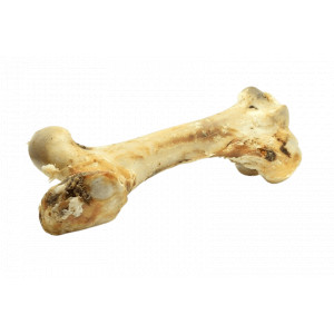 Runderbot XXL voor de hond