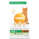 Iams for Vitality Gatto Adulto con Agnello