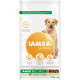 Iams for Vitality Cane Adult taglia Grande, con agnello