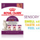 Royal Canin Sensory multipack cibo umido per gatto