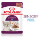 Royal Canin Sensory Feel cibo umido per gatto