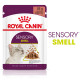Royal Canin Sensory Smell cibo umido per gatto