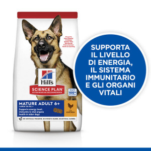 Hill's Mature Adult Large con pollo per cane