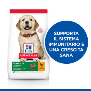 Hill's Puppy (Cucciolo) Large con pollo per cane