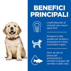 Hill's Puppy (Cucciolo) Large con pollo per cane