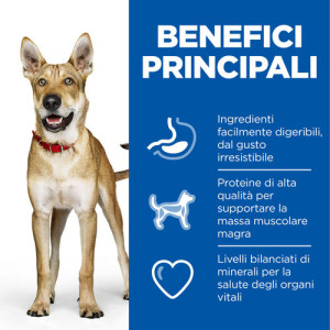 Hill's Adult Performance con pollo per cane