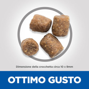 Hill's Adult Performance con pollo per cane