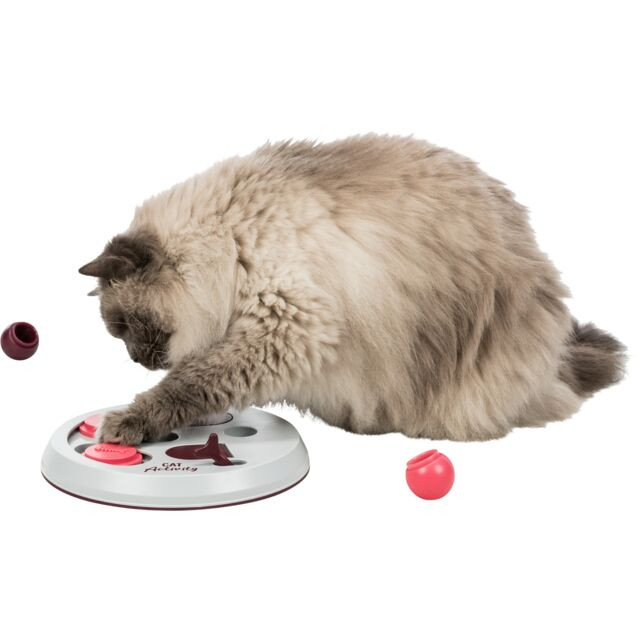 Cat Activity Flip Board voor de kat