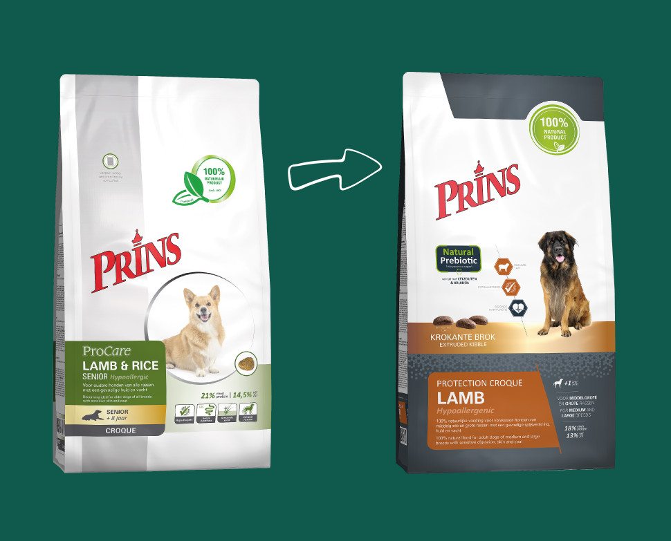 Prins ProCare Croque Senior Hypoallergic Cane agnello e riso