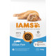 Iams Kitten con pesce per gattino