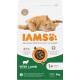 Iams Adult con agnello per gatto