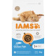 Iams Adult con pesce di mare per gatto