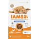 Iams Adult Light/Sterilised con pollo per gatto