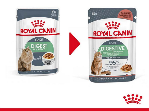 Royal Canin Digestive Care cibo umido per gatto (12x85  g)