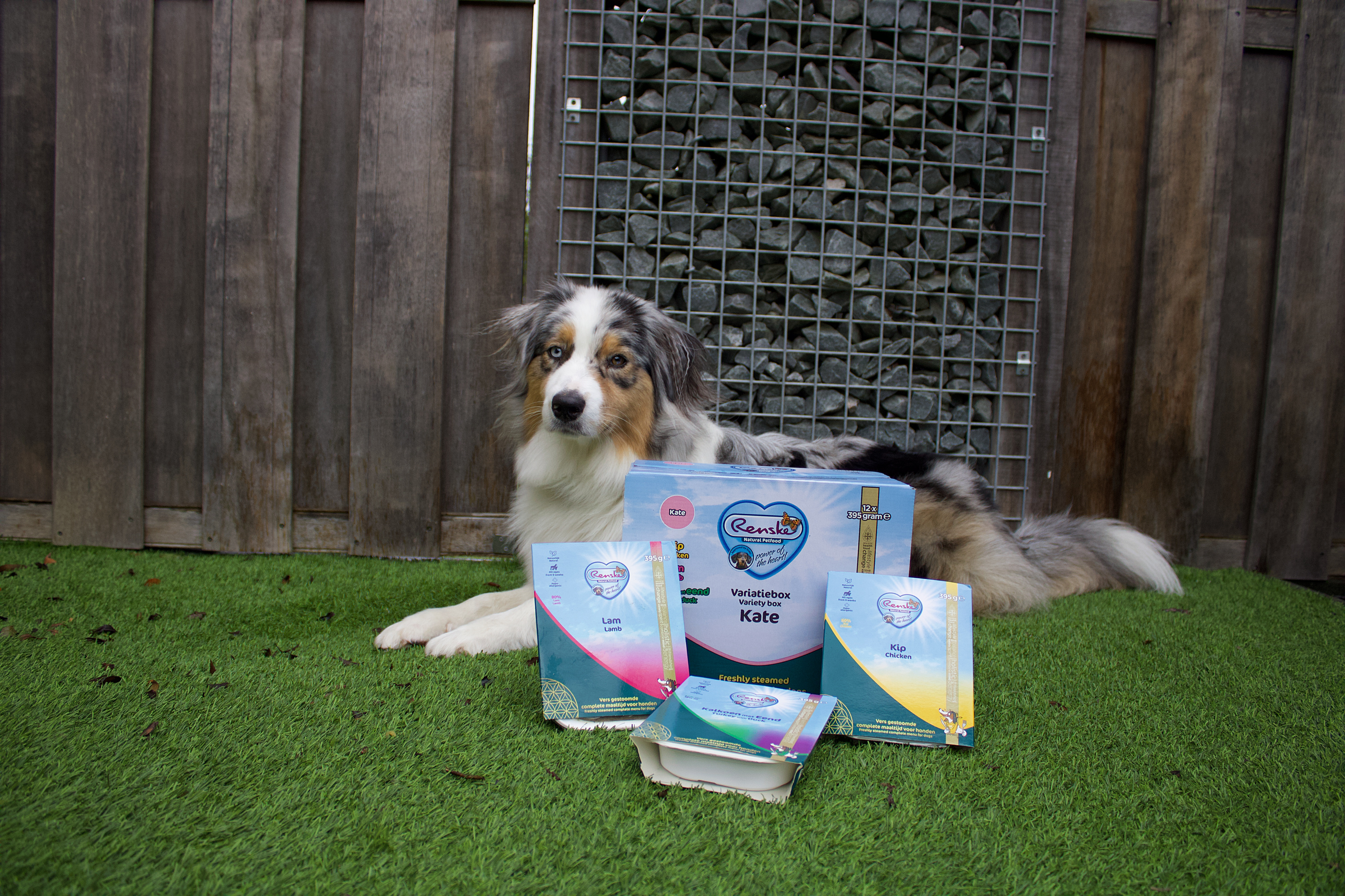 Renske Variety box Kate cibo umido per cani da carne fresca al vapore (395 g)