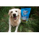 Renske Junior Adult Mighty Omega-3 Plus agnello fresco con riso per cani