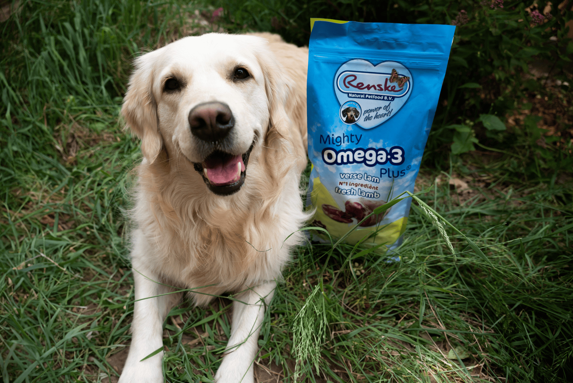 Renske Junior Adult Mighty Omega-3 Plus agnello fresco con riso per cani