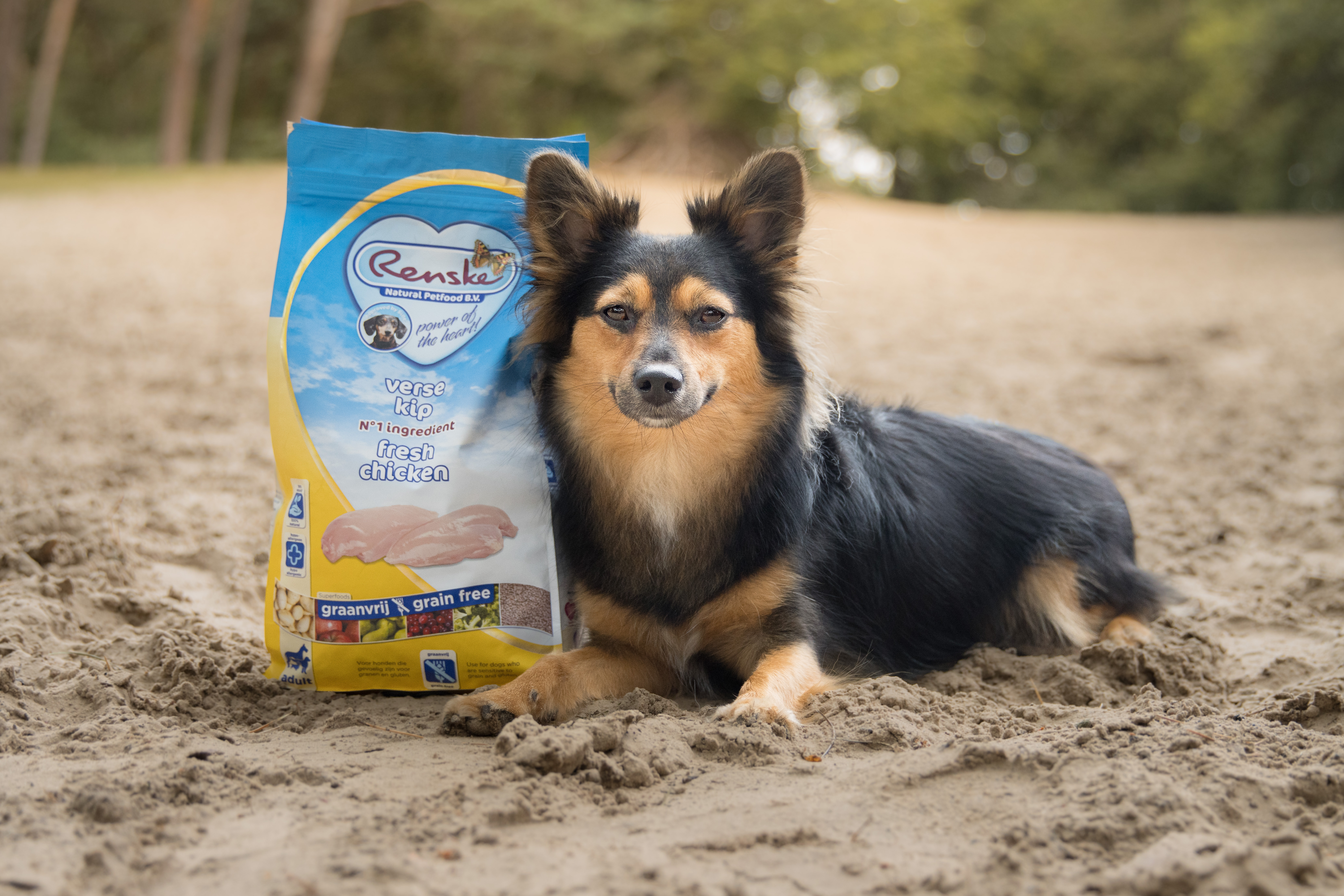 Renske Grain Free Super Premium con pollo fresco per cani