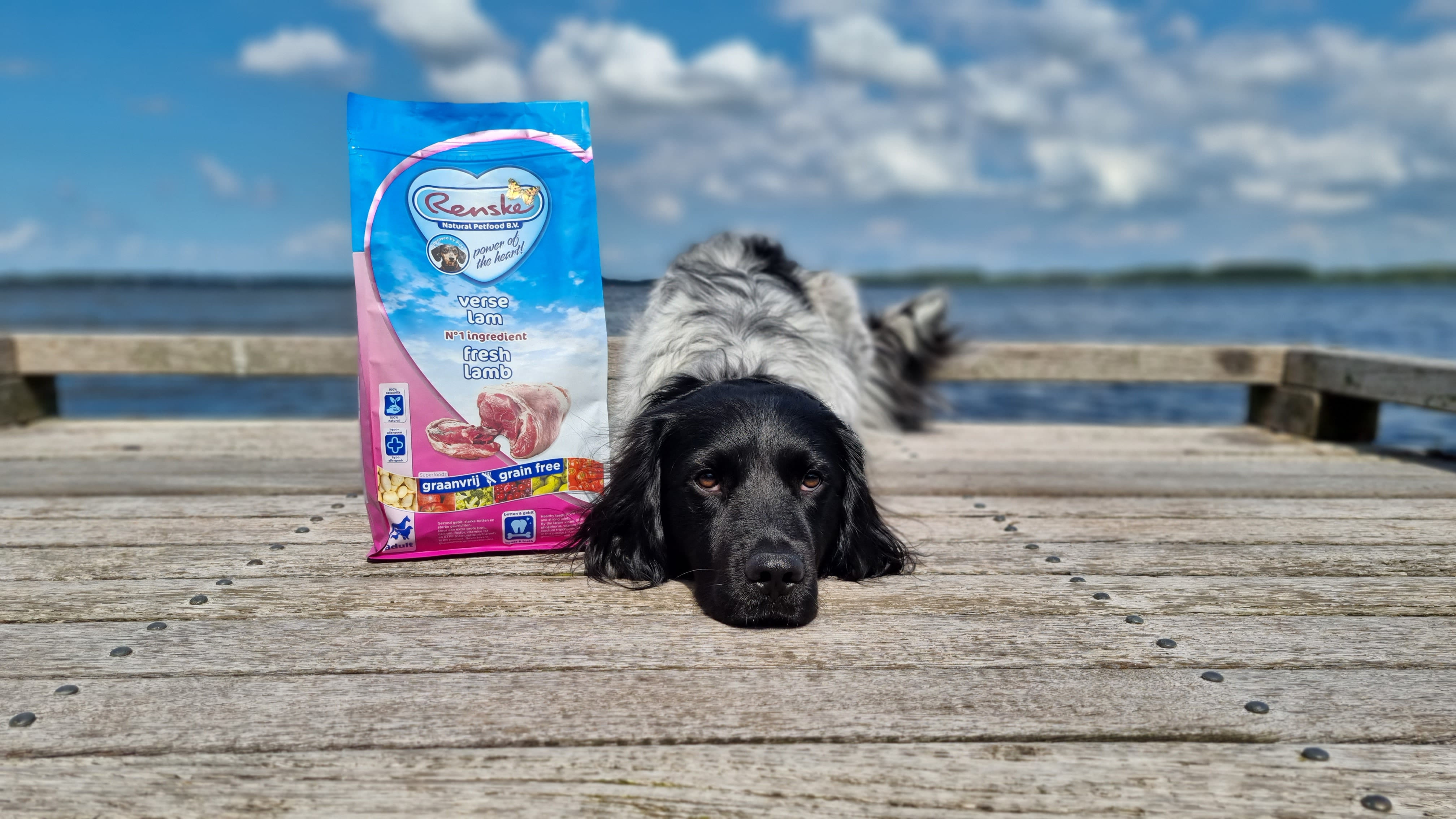 Renske Grain Free Super Premium conagnello fresco per cani