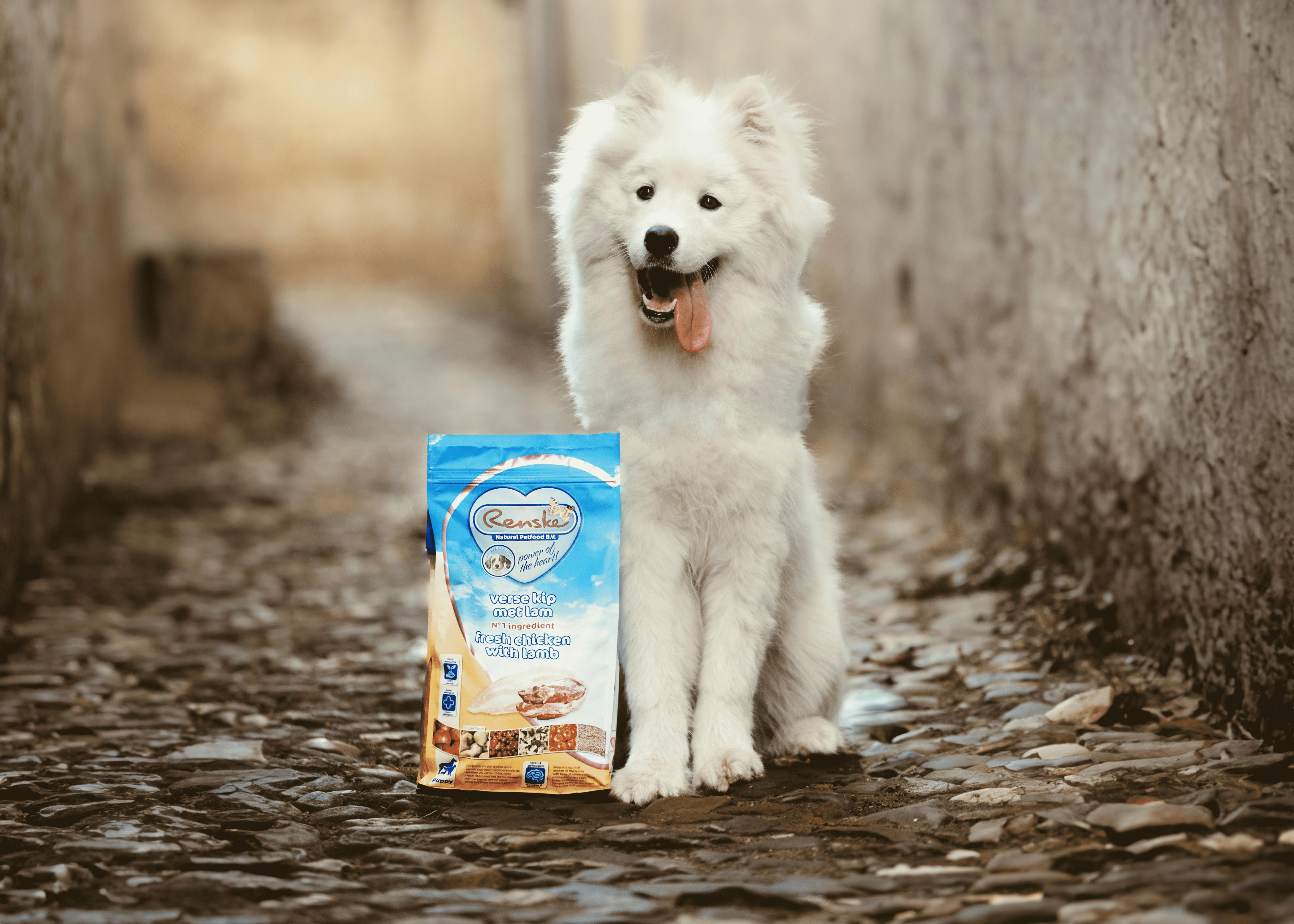 Renske Puppy Super Premium con pollo e agnello freschi per cuccioli