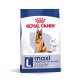 Royal Canin Maxi Adult 5+ per cane