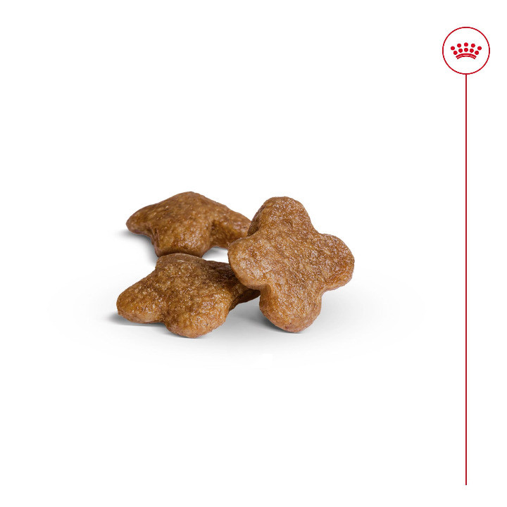 Royal Canin Mini Adult 8+ per cane