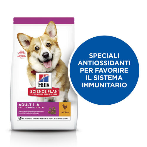 Hill's Adult Small & Mini al pollo per cane