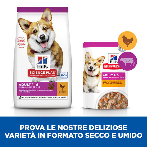 Hill's Adult Small & Mini al pollo per cane