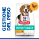 Hill's Adult Perfect Weight Medium con pollo per cane