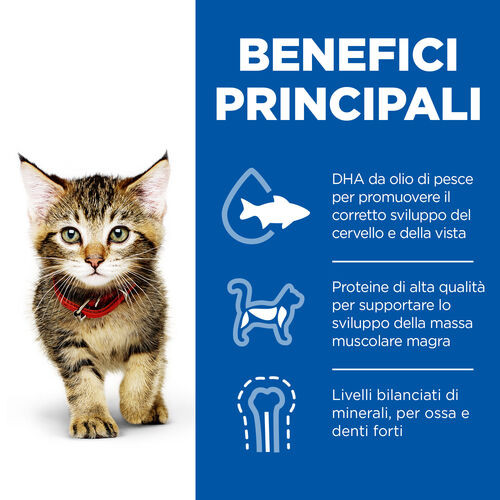 Hill's Kitten con tonno per gatto