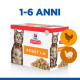 Hill’s Adult Poultry Selection Combi cibo umido per gatto