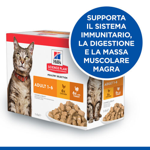 Hill’s Adult Poultry Selection Combi cibo umido per gatto