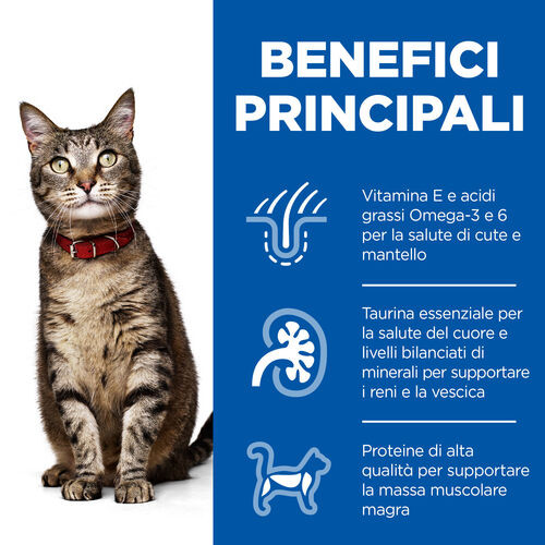 Hill’s Adult Poultry Selection Combi cibo umido per gatto