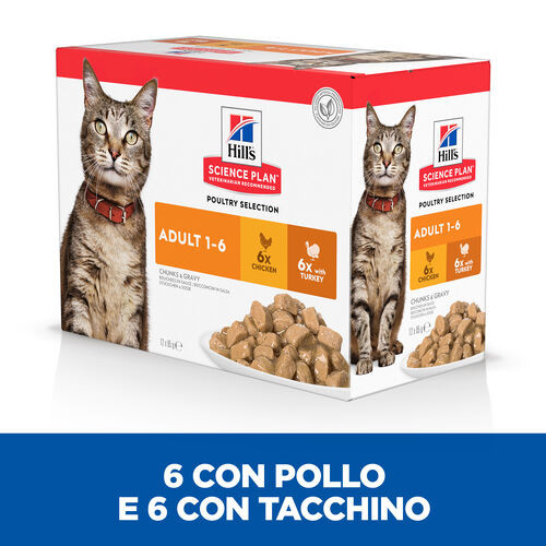 Hill’s Adult Poultry Selection Combi cibo umido per gatto