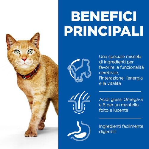 Hill's Mature Adult 7+ Senior Vitality con pollo e riso per gatto